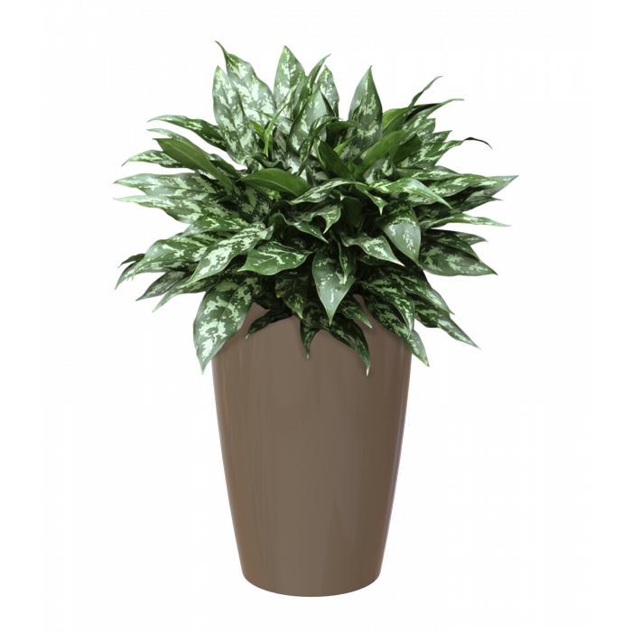 plastic-pot-recyclable-planter-tall-brown-plant