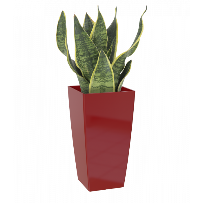 plastic-pot-recyclable-planter-tall-dark-red-plant