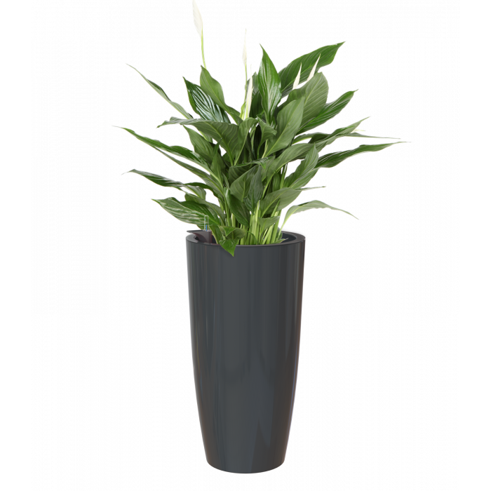 plastic-pot-recyclable-planter-tall-h2o-watering-system-anthracite-grey-plant
