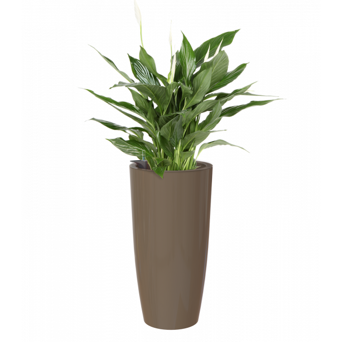 plastic-pot-recyclable-planter-tall-h2o-watering-system-brown-plant