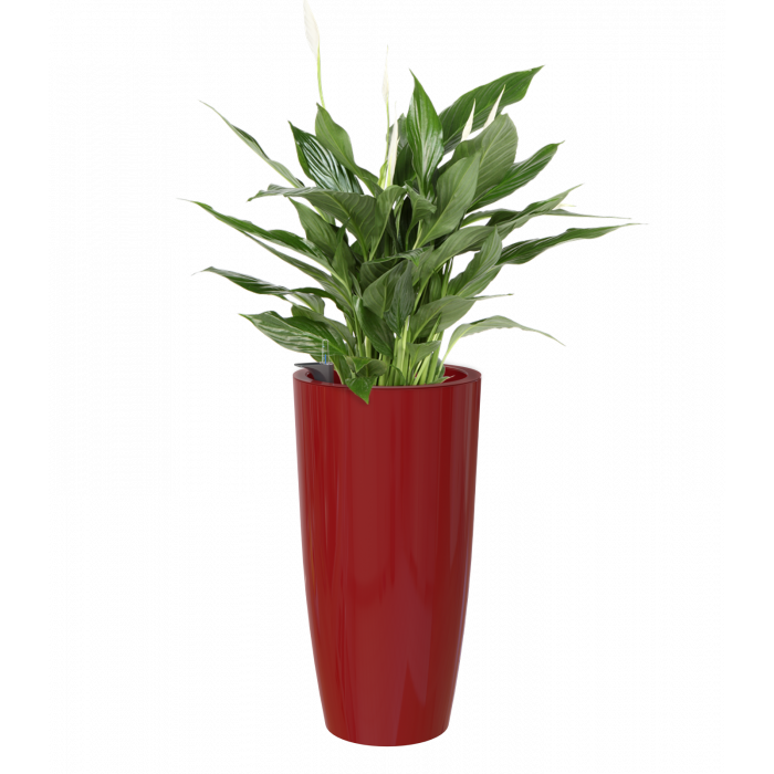 plastic-pot-recyclable-planter-tall-h2o-watering-system-red-plant
