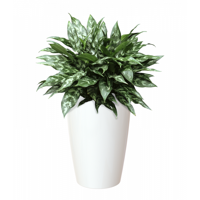 plastic-pot-recyclable-planter-tall-white-plant-1_1024986015