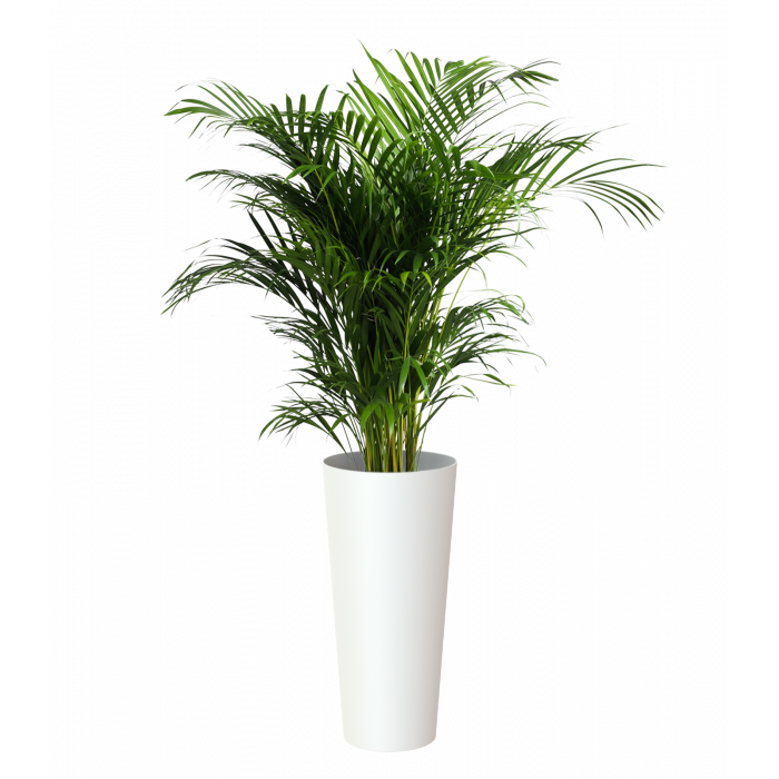 plastic-pot-recyclable-planter-tall-white-plant