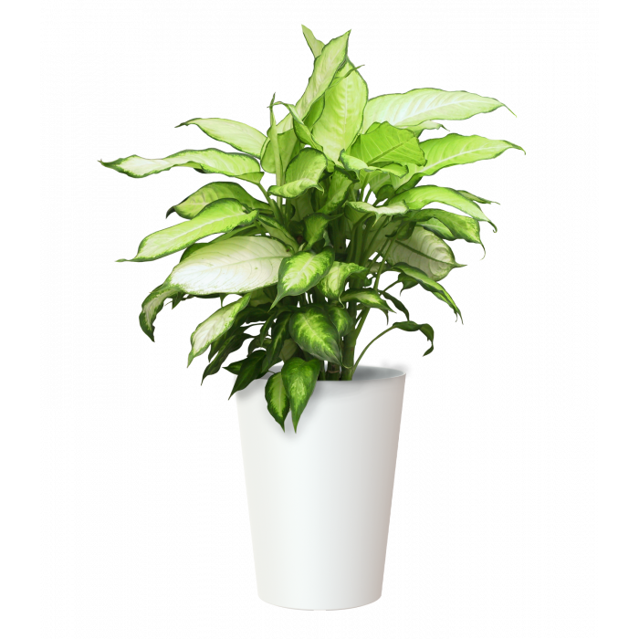 plastic-pot-recyclable-planter-white-plant-2