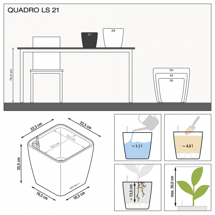 quadro_ls_21