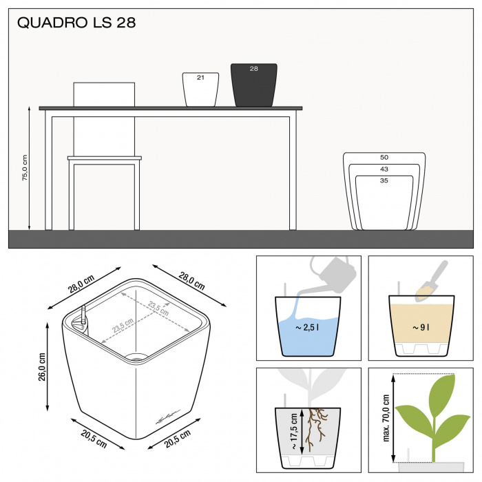 quadro_ls_28