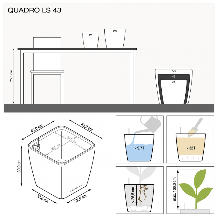 quadro_ls_43