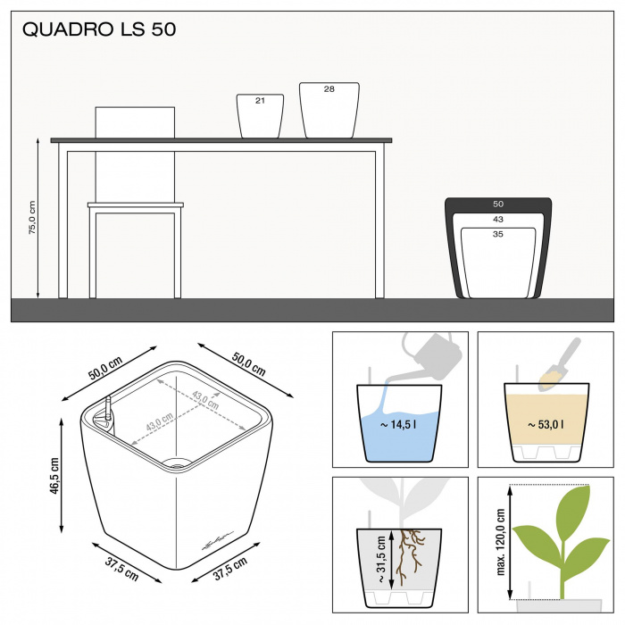 quadro_ls_50