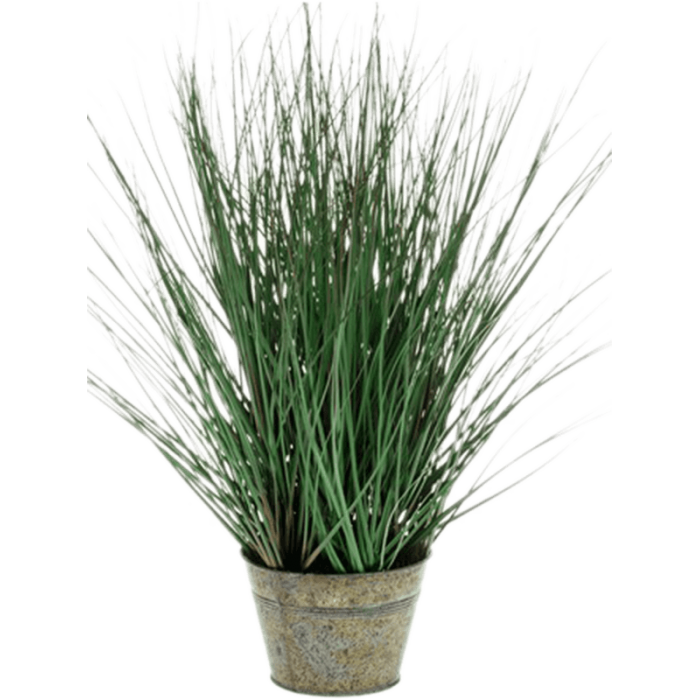 wild-grass-in-zinc-50cm_975958796