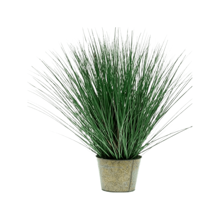 wild-grass-in-zinc-80cm_870370629