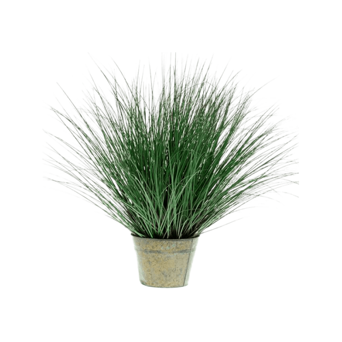 wild-grass-in-zinc-95cm_2124684190